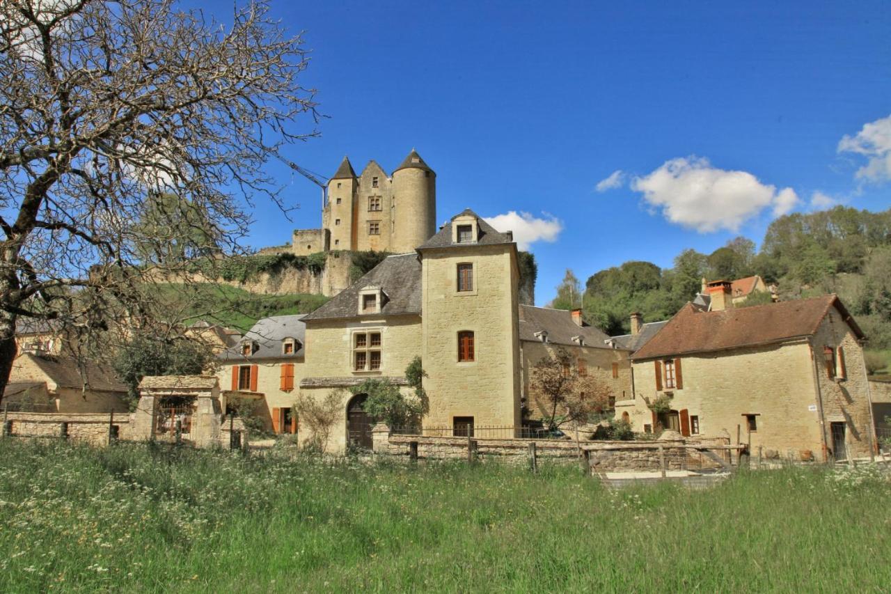 Petite Maison En Pierre Au Coeur Du Perigord Noir Salignac Eyvigues Buitenkant foto