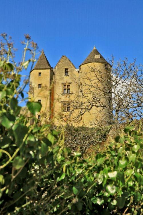 Petite Maison En Pierre Au Coeur Du Perigord Noir Salignac Eyvigues Buitenkant foto