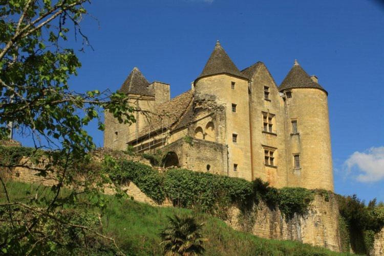 Petite Maison En Pierre Au Coeur Du Perigord Noir Salignac Eyvigues Buitenkant foto