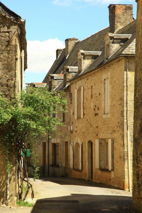 Petite Maison En Pierre Au Coeur Du Perigord Noir Salignac Eyvigues Buitenkant foto