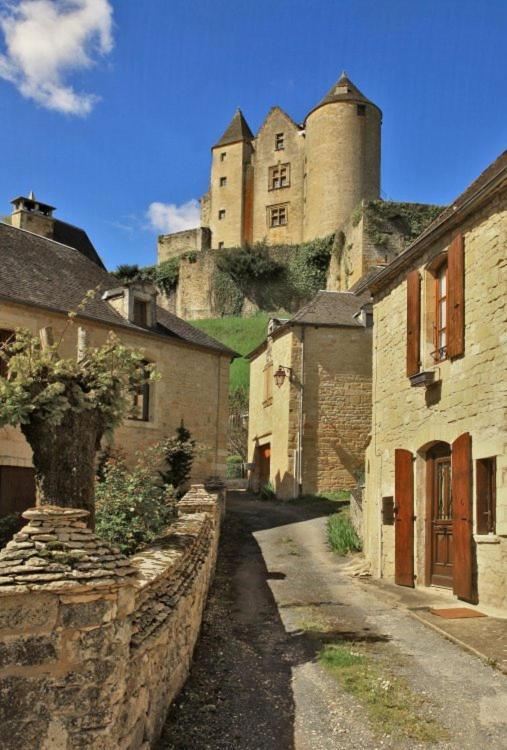 Petite Maison En Pierre Au Coeur Du Perigord Noir Salignac Eyvigues Buitenkant foto