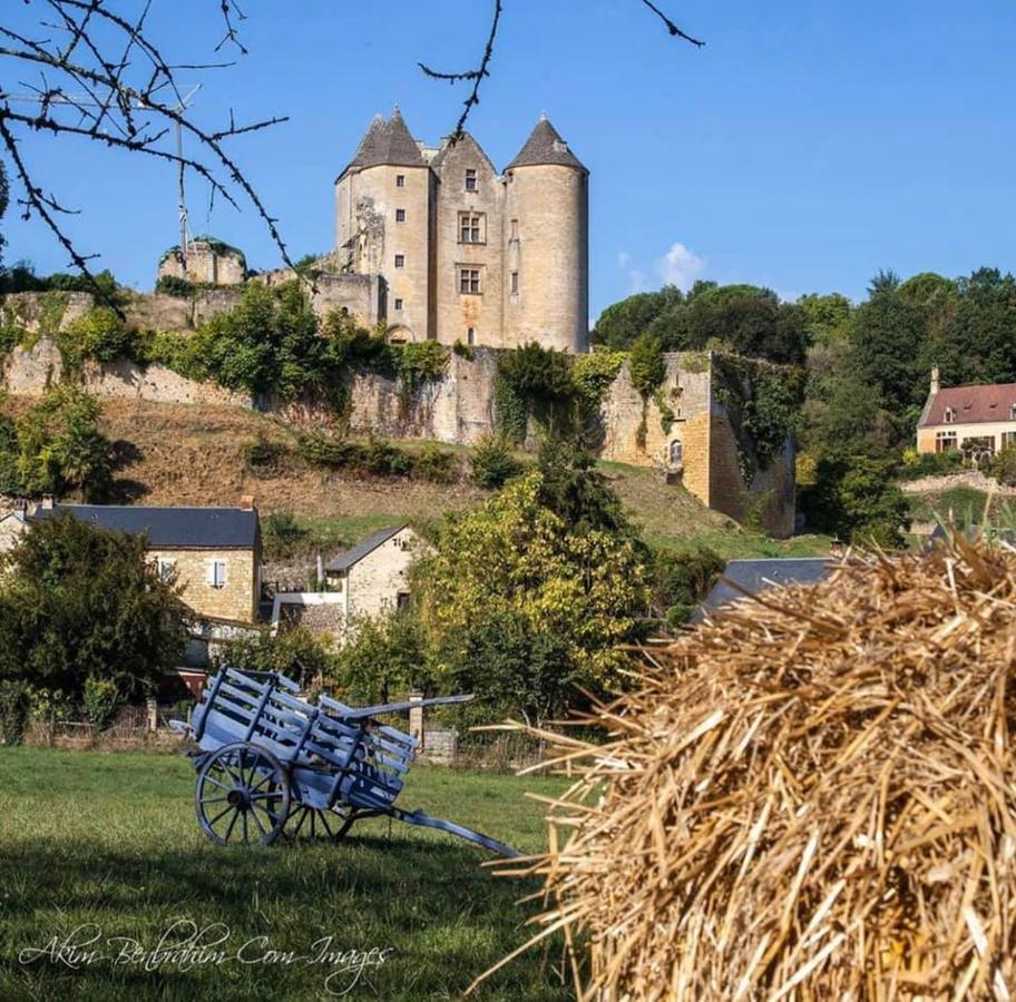Petite Maison En Pierre Au Coeur Du Perigord Noir Salignac Eyvigues Buitenkant foto